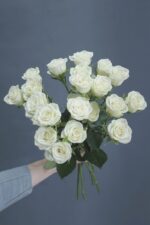 Роза кустовая Беларусь купить в Белореченске