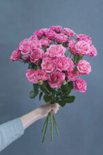 Роза кустовая Лиана купить в Белореченске